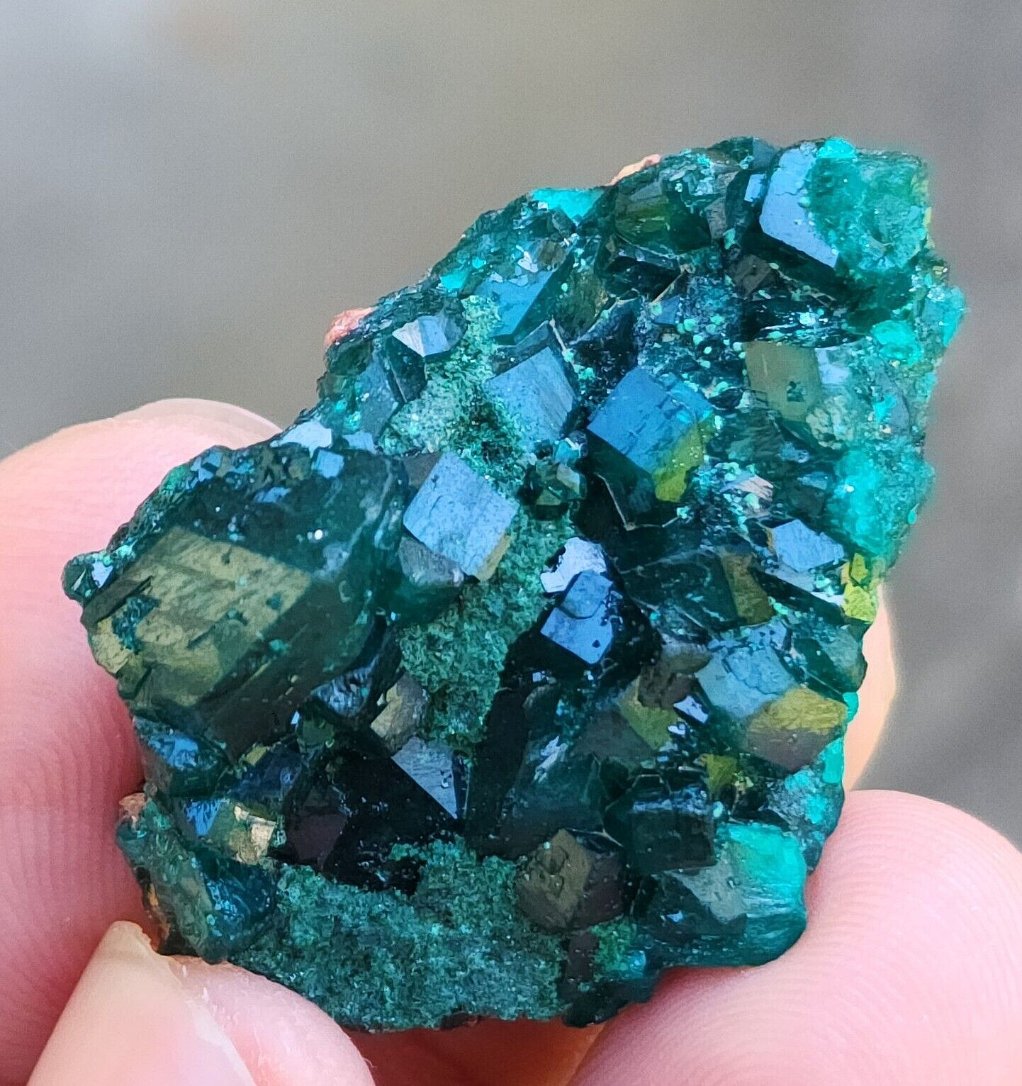 High Quality Dioptase Specimen From Namibia, 12gm, US TOP Crystals