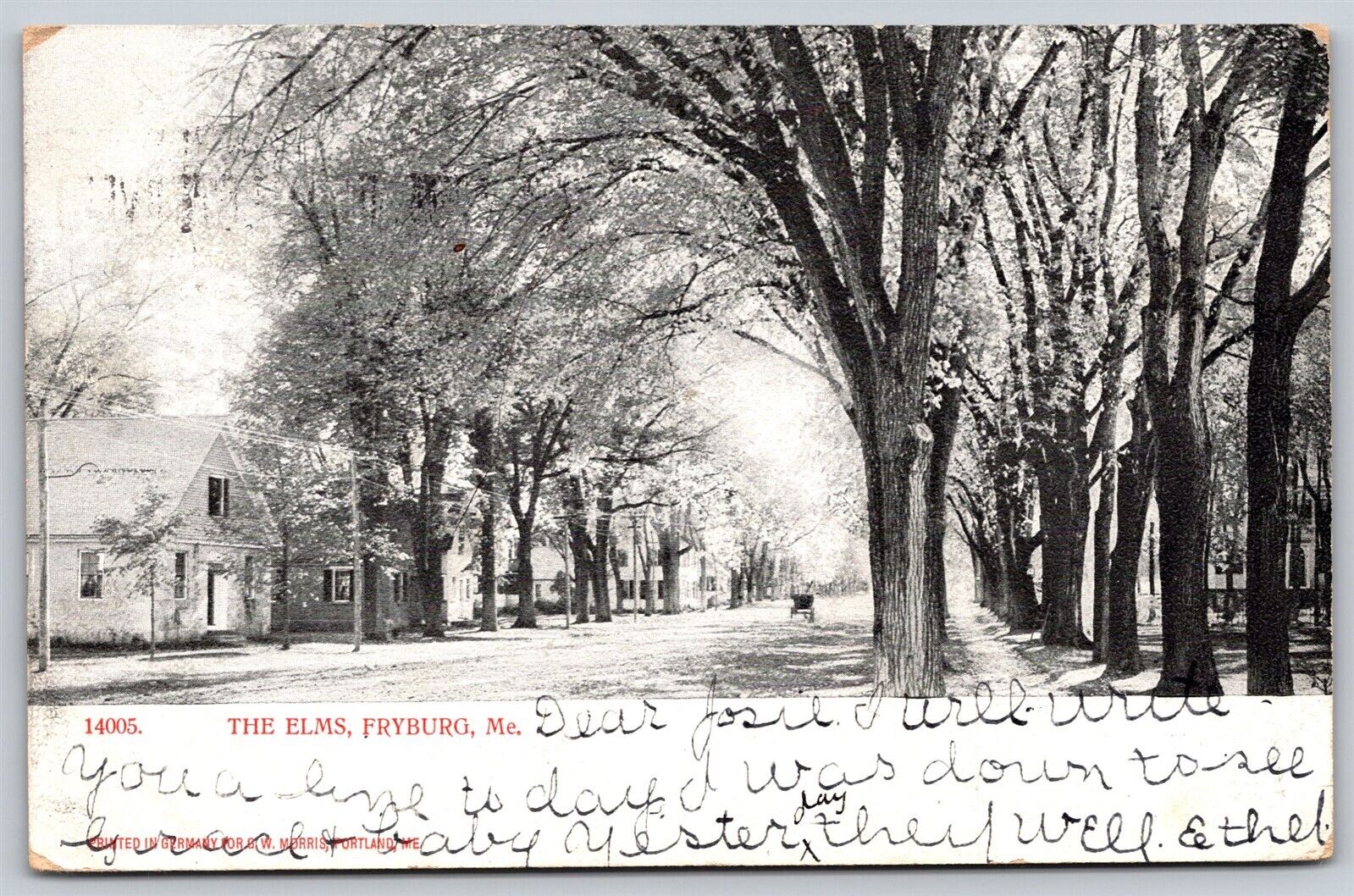 Postcard The Elms, Fryeburg, Maine 1907 V101