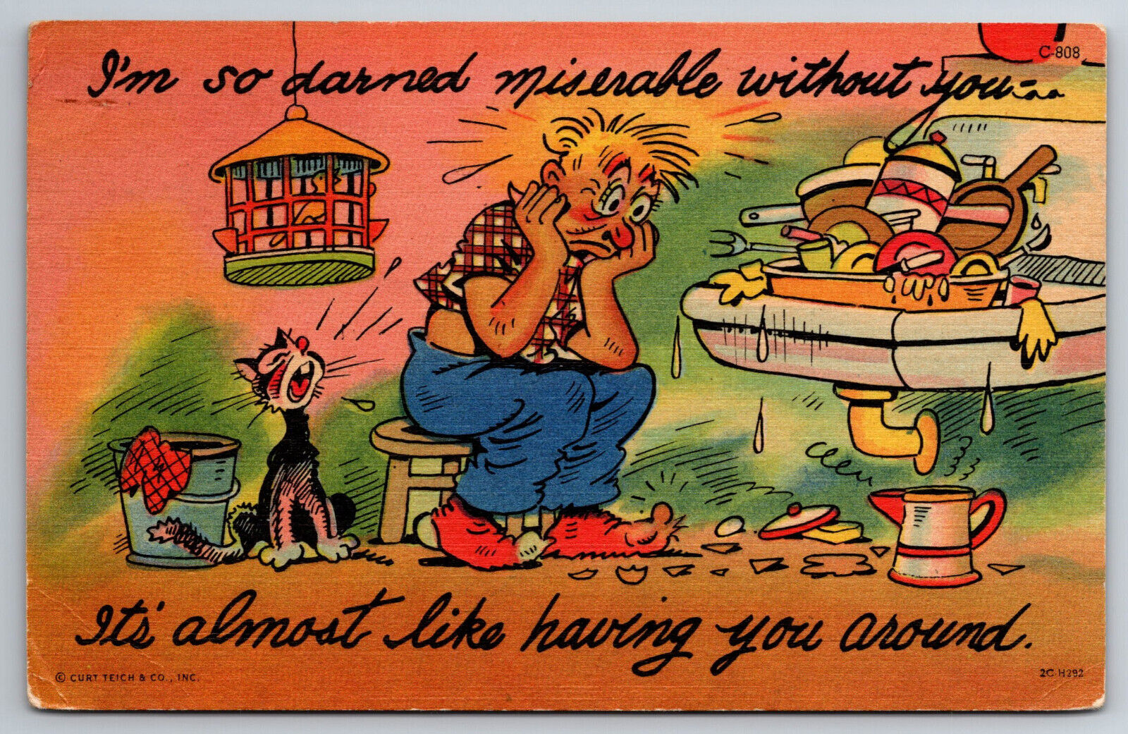 Vintage Postcard Funny Humor Cartoon Unhappy Man Cat Dirty Dishes ~8982
