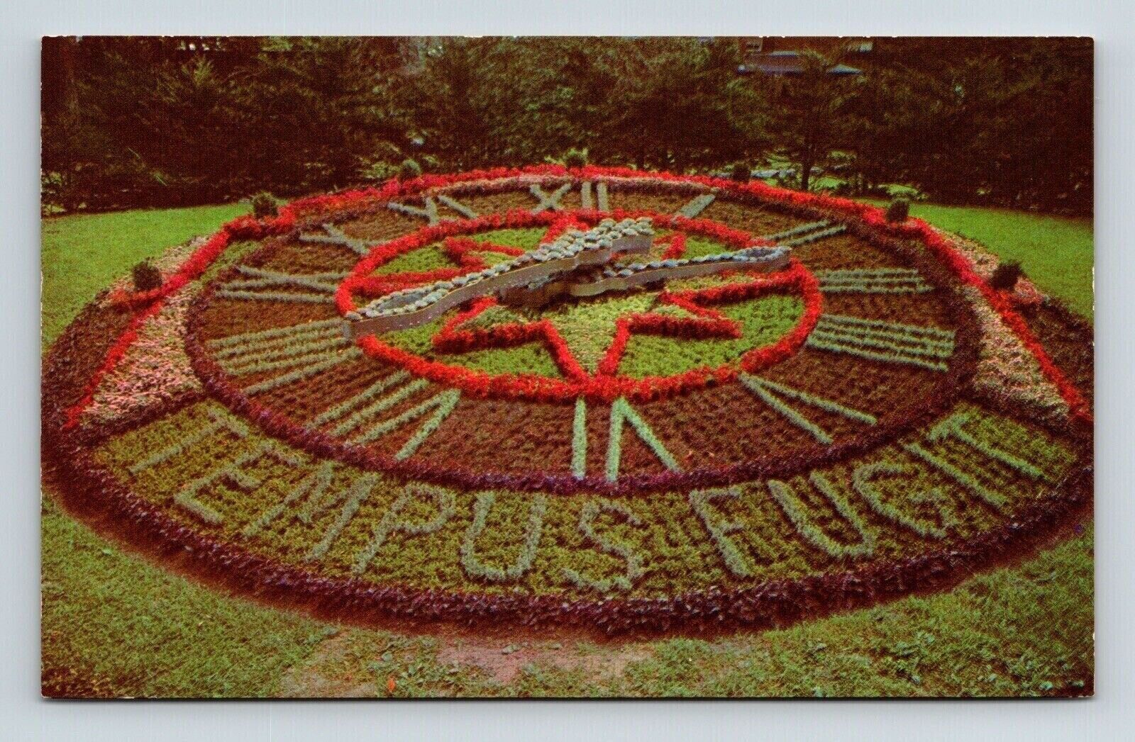 Montreal Quebec Canada Floral Clock Westmount Park Scenic Chrome Postcard