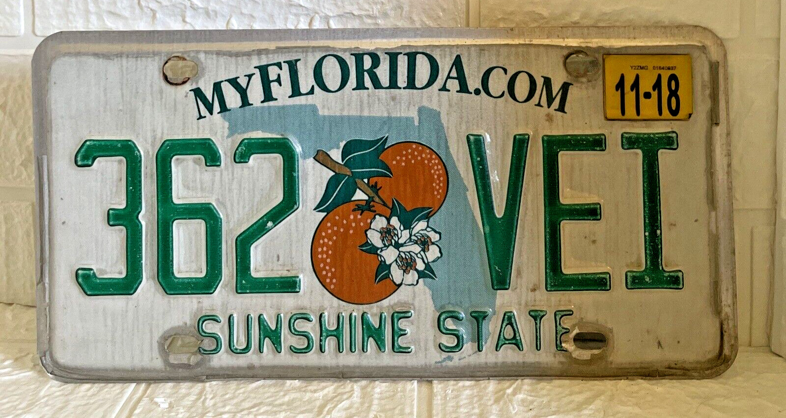 FLORIDA License Plate 362 VEI Sunshine State (2018) - Great Cond