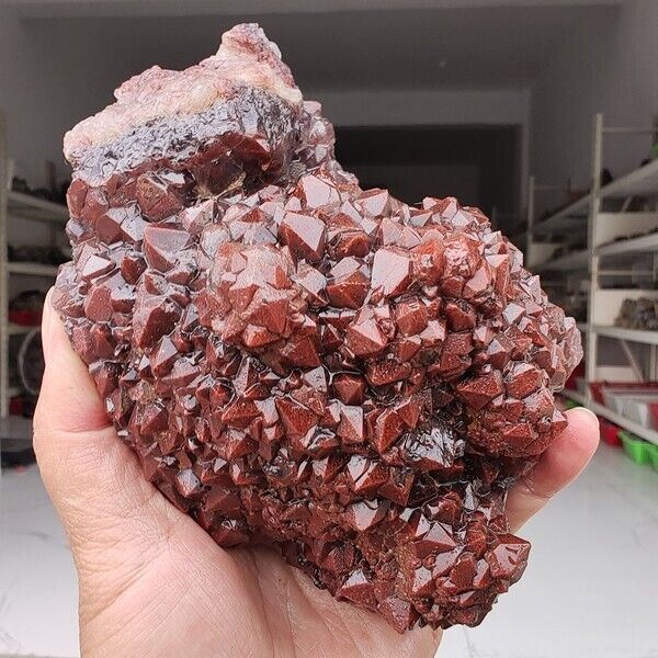 970g Genuine rare Red Cap Auralite 23 raw cluster Quartz Mineral Specimen
