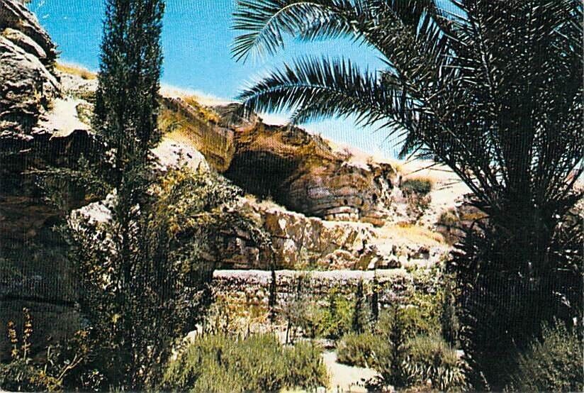Israel-Jerusalem Golgotha in the Garden Tomb Vtg Postcard M24