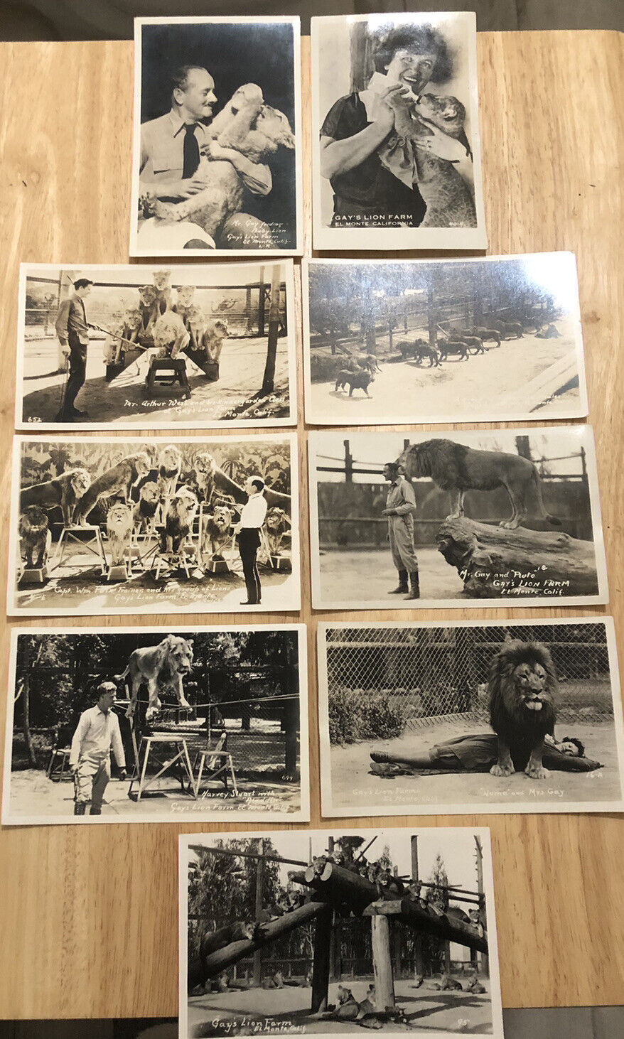 Rppc 9 Gay’s Lion Farm El Monte CA California Real Photo Vintage Postcard O11