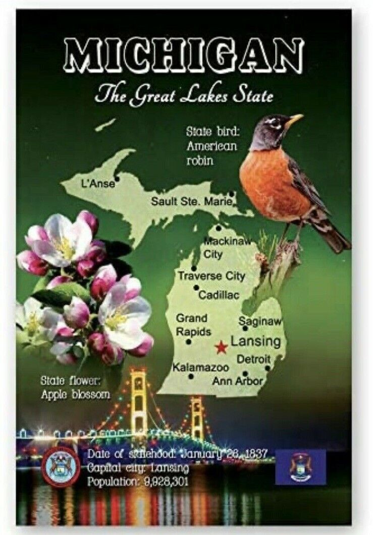 Michigan State Map and State Facts Postcard (E331)