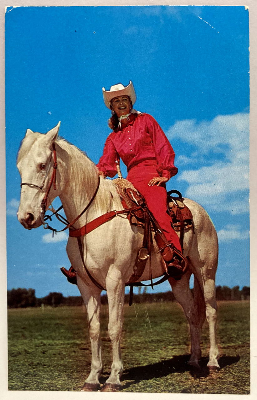 Albino Trick Horse, Lady on Horseback, Vintage Postcard