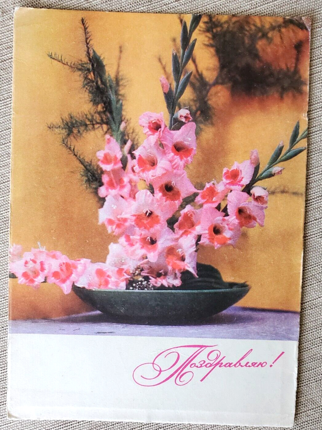 VTG Russian Postcard ~ Flowers ~ 1970 ~ Открытка Поздравляю Натюрморт ~ UNUSED