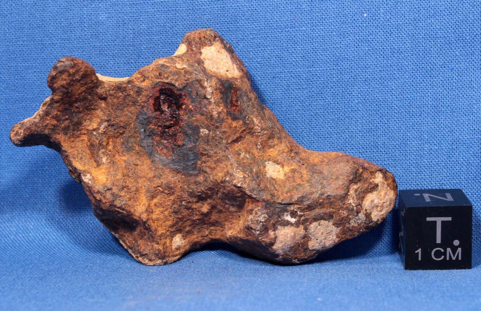 110 gram Agoudal Individual Meteorite - Iron, IIAB - Found 2000 in Morocco