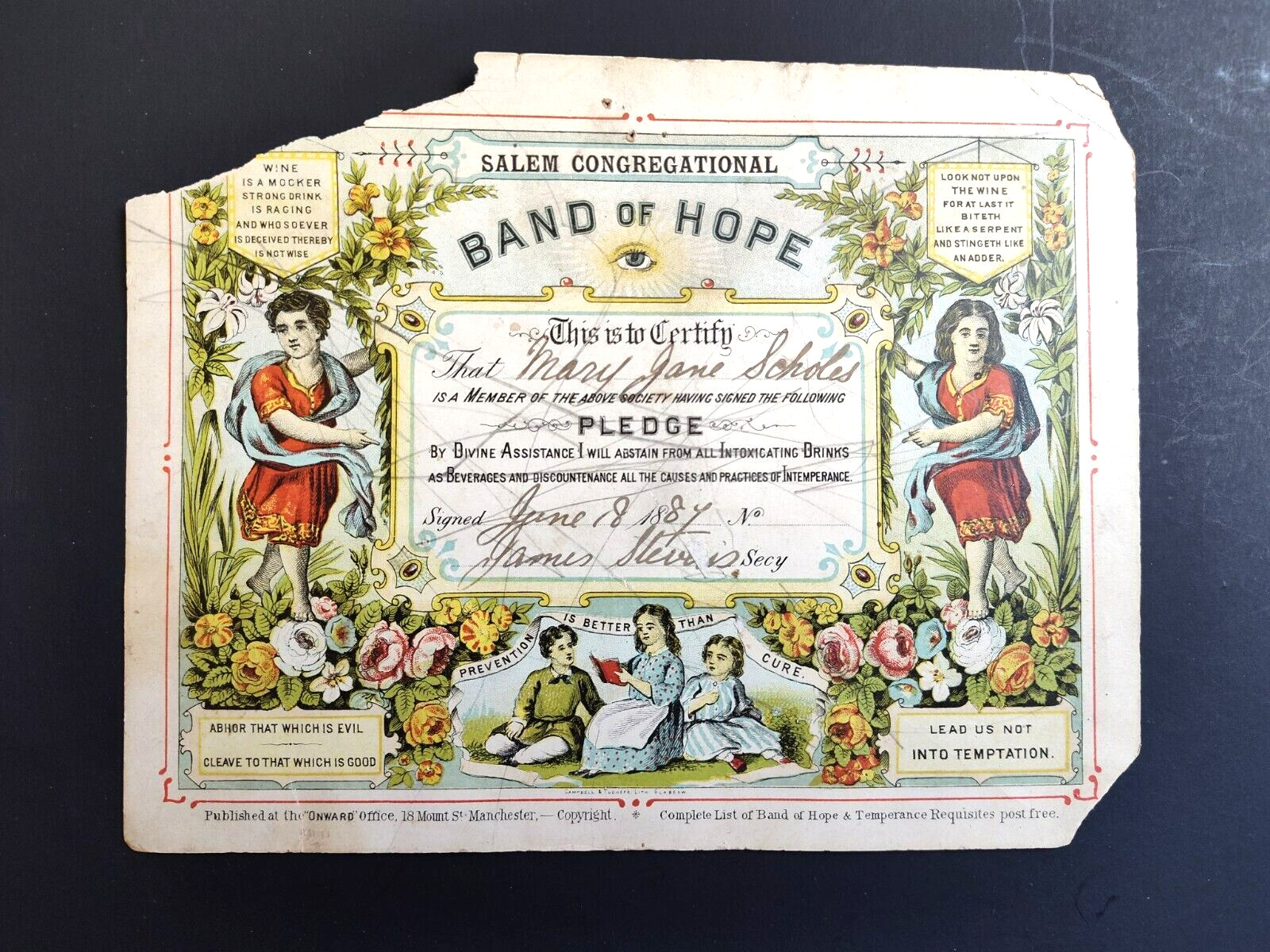 1884 Band of Hope & Temperance Pledge Salem Congregational