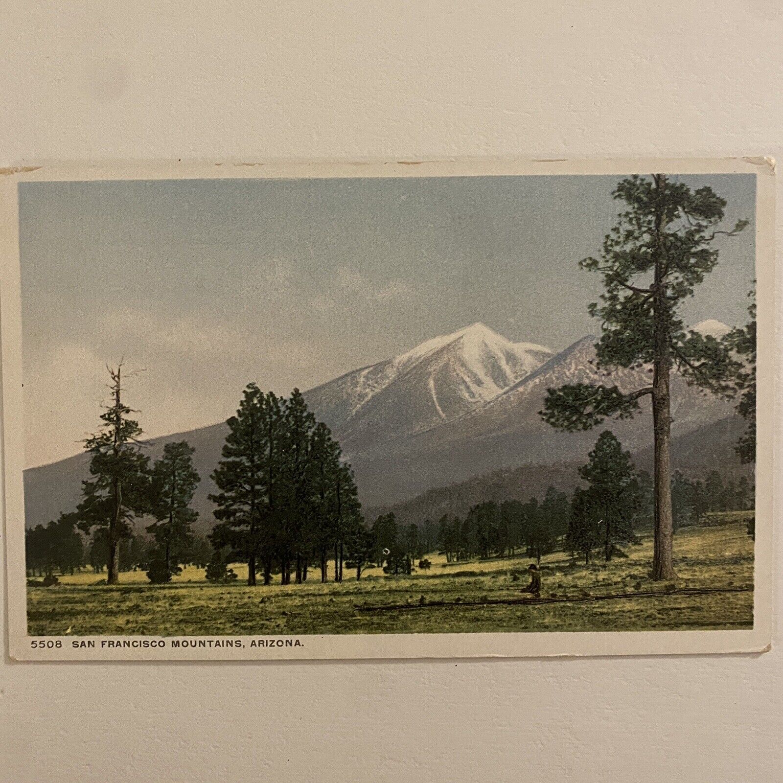 Antique San Francisco mountains, Arizona Postcard