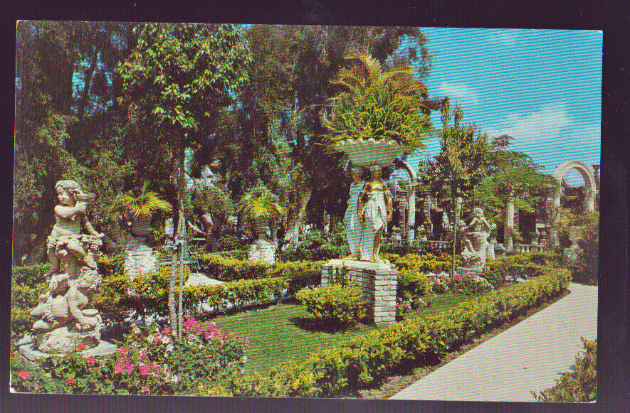 FLORIDA FL 1969 Clearwater Kapok Tree East Garden Postcard