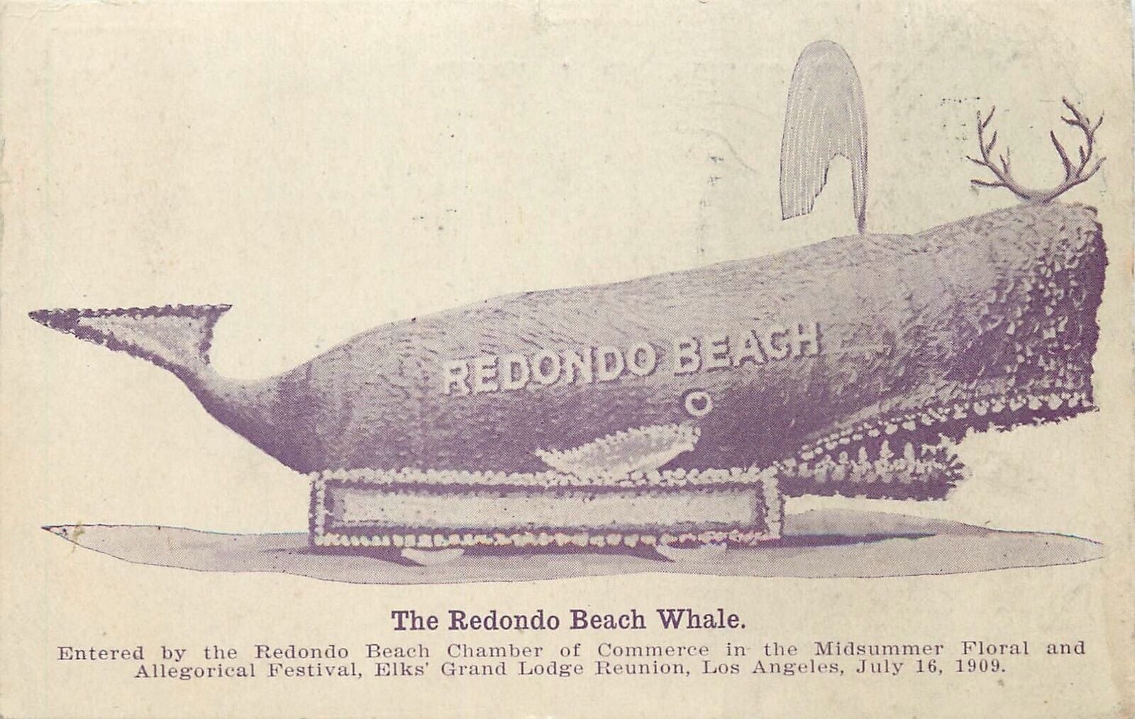 Postcard 1909 California Long Beach Whale Parade Float Elks CA24-2021