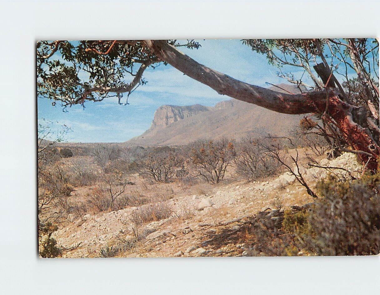 Postcard Nickel Creek Canyon & El Capitan Texas USA