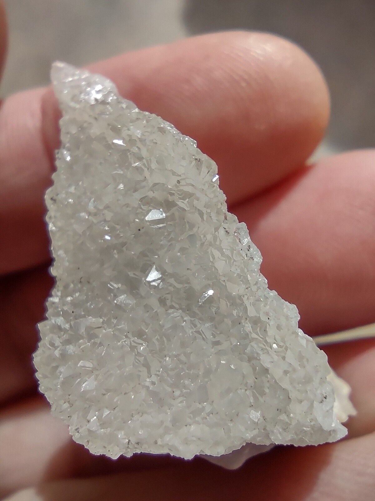 Agatized Coral Rare Crystal Natural Geode Piece Stunning Specimen Druzi Shiny AU