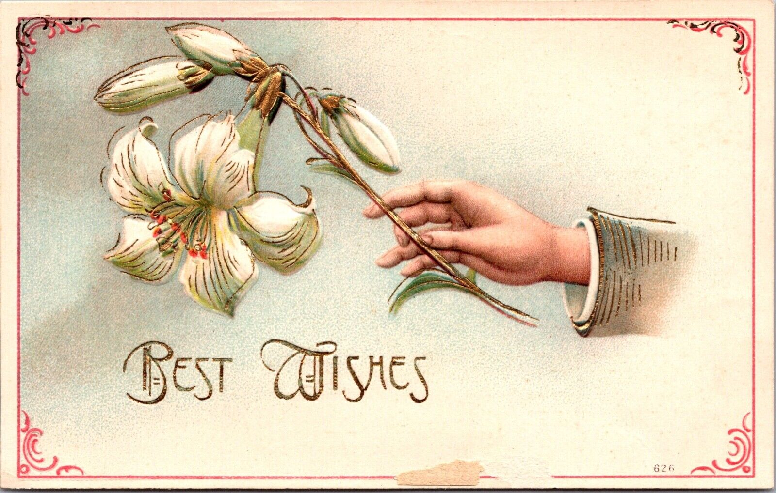 Best Wishes Postcard Mans Arm Holding Out a White Lily Flower~3543