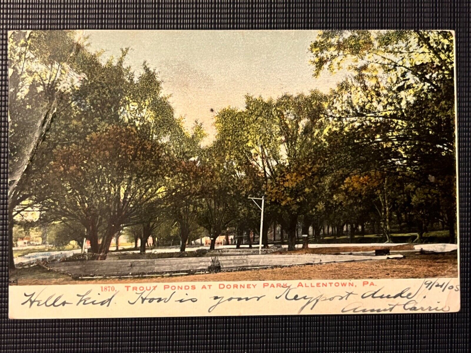 1905 TROUT PONDS AT DORNEY PARK ALLENTOWN PA PENNSYLVANIA POSTCARD