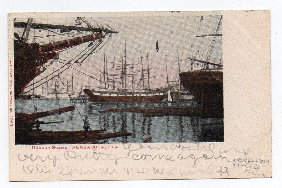 UDB Postcard, Harbor Scene, Pensacola, Florida, 1906
