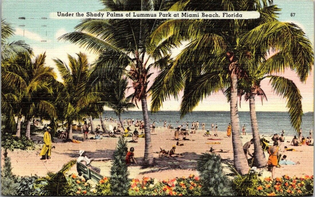 Miami Beach FL Florida, Under The Shady Palms Of Lummus Park Vintage Postcard