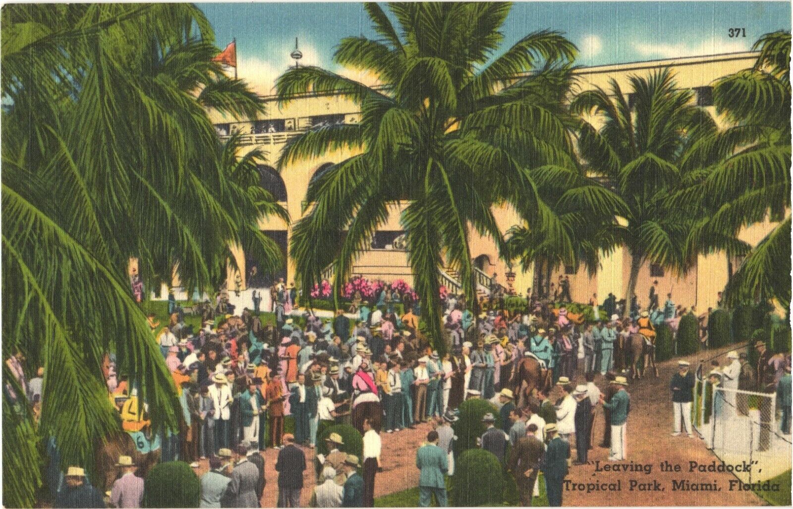 View of Huge Crowd, Leaving The Paddock, Tropical Park, Miami, Florida Postcard