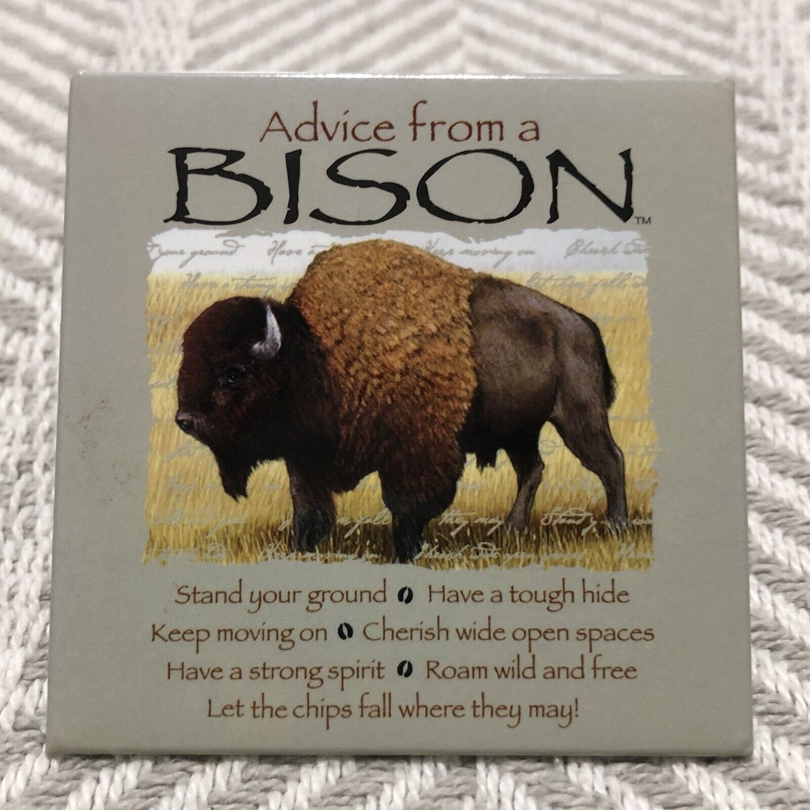 Advice From A Bison Magnet Square Buffalo Animal of American Southwest 
