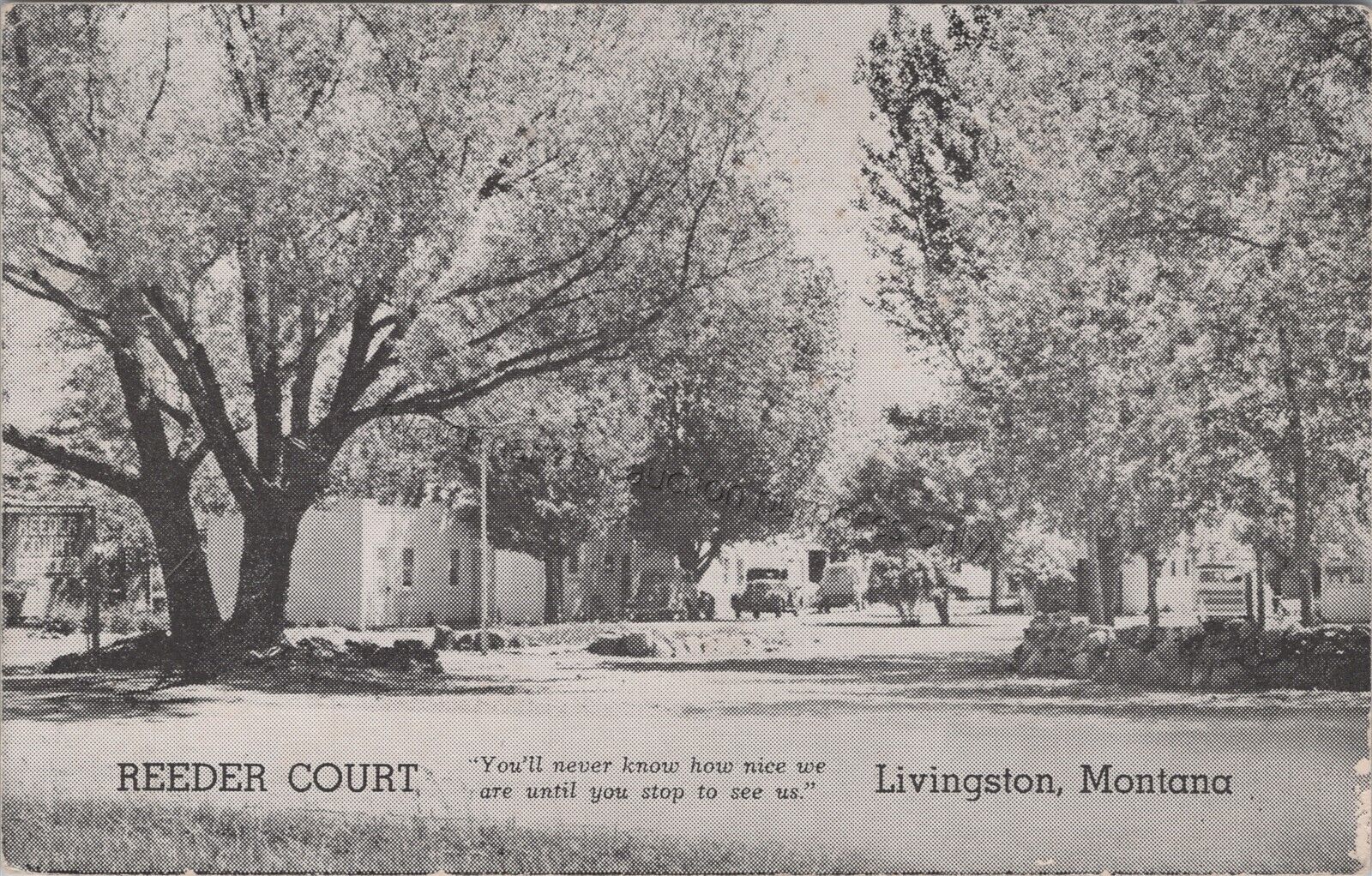 Livingston, MT: Reeder Court Motel Trailer Park, vintage Montana Postcard