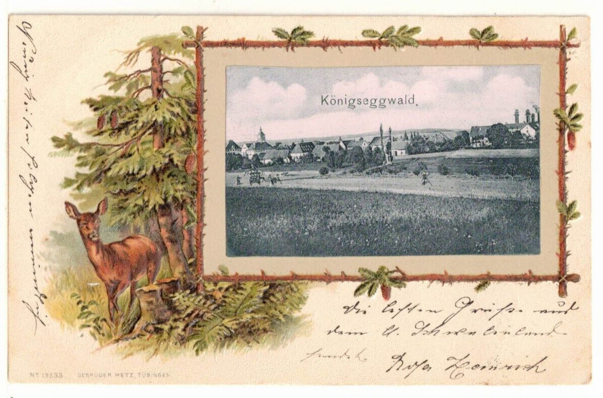RARE 1904 Embossed UDB PC: View of Königseggwald Germany – Population:  1000