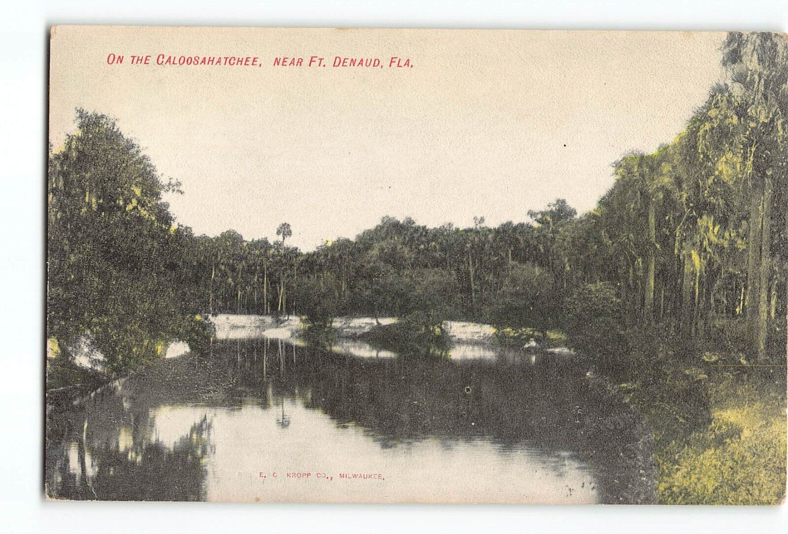 Old Vintage Postcard of ON THE CALOOSAHATCHEE NEAR FT DENAUD FL