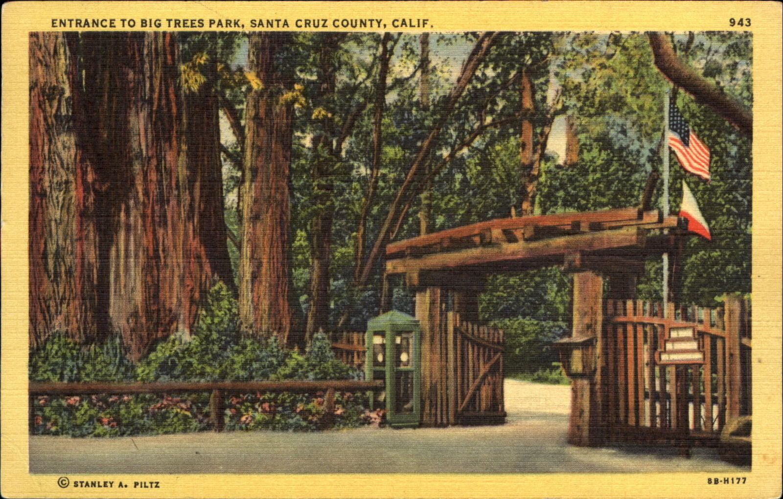 Big Trees Park entrance~ Santa Cruz County California ~1951 to DOYLE Minneapolis