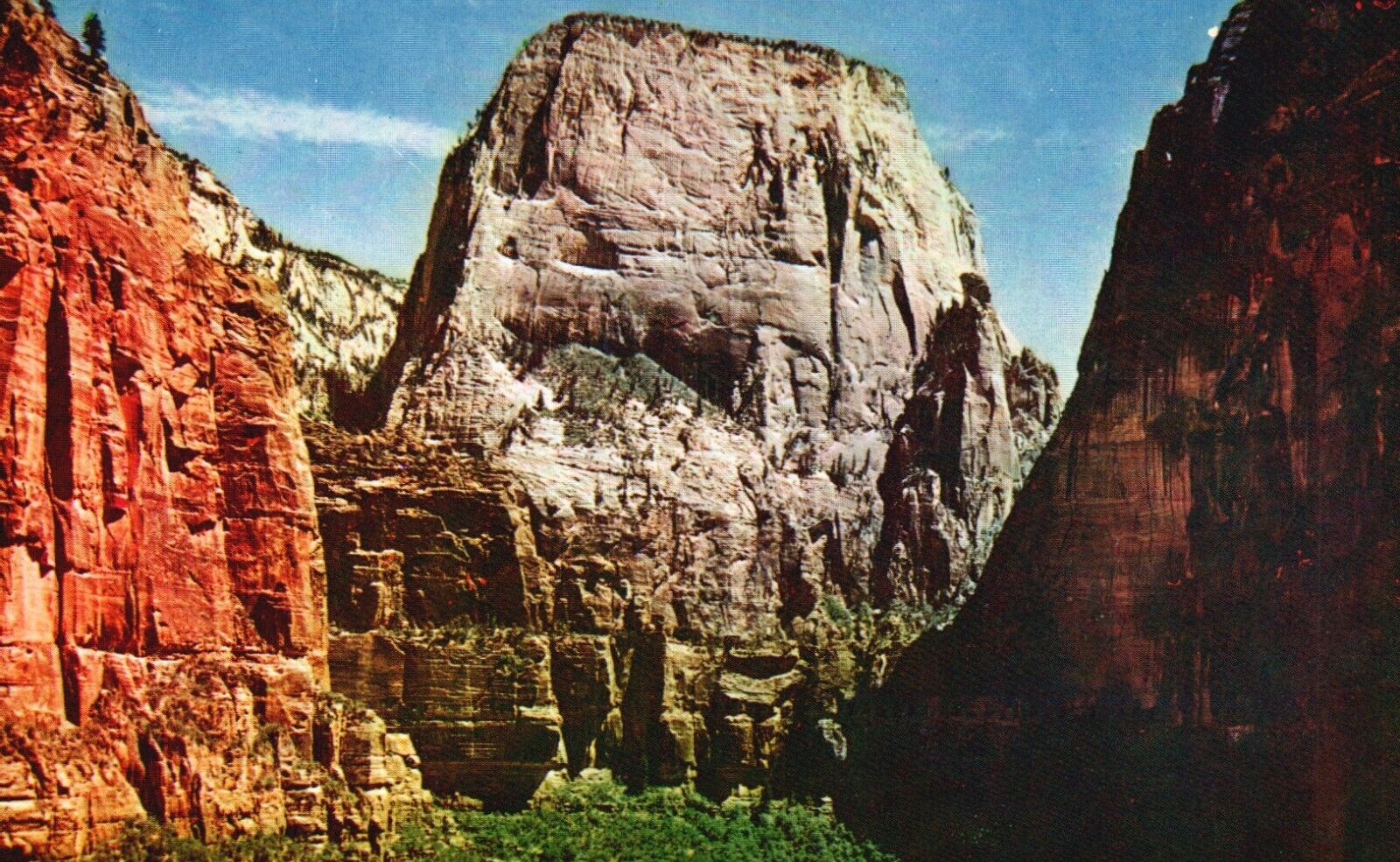 Postcard UT Zion National Park Great White Throne Chrome Vintage PC G4869