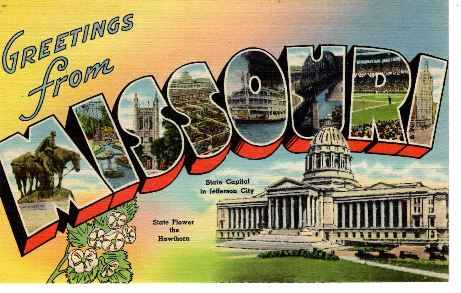 Postcard Large Letter Postcard Missouri -9159