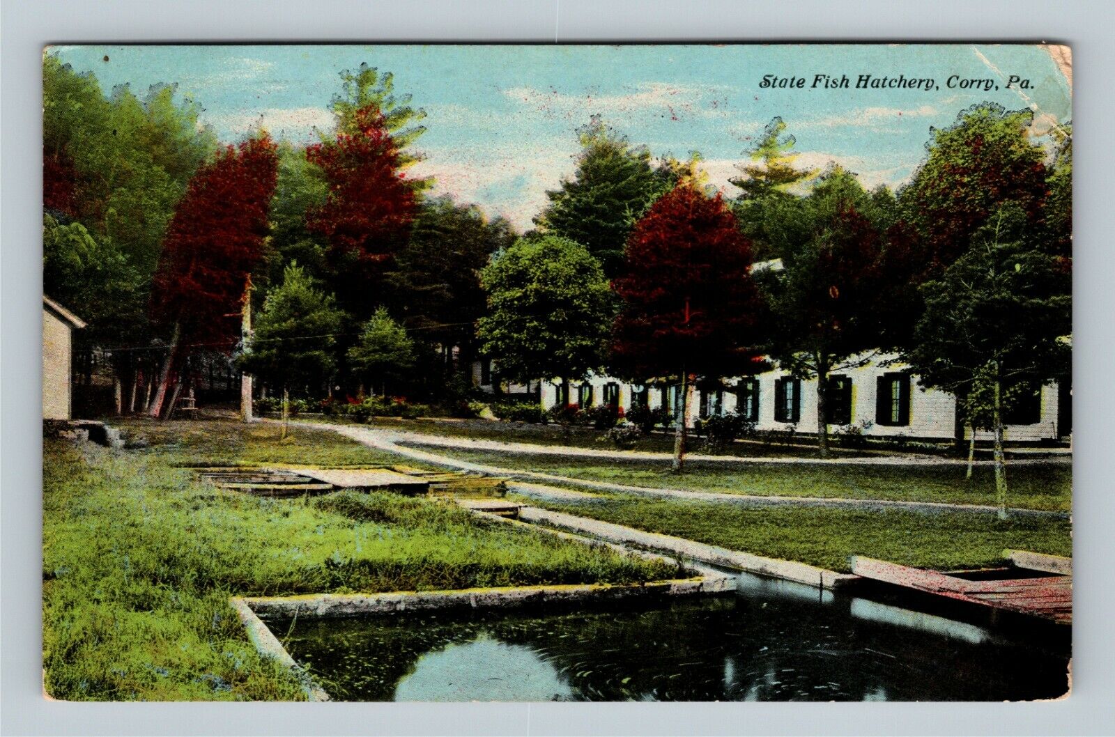 Corry PA, State Fish Hatchery, Pennsylvania c1916 Vintage Postcard