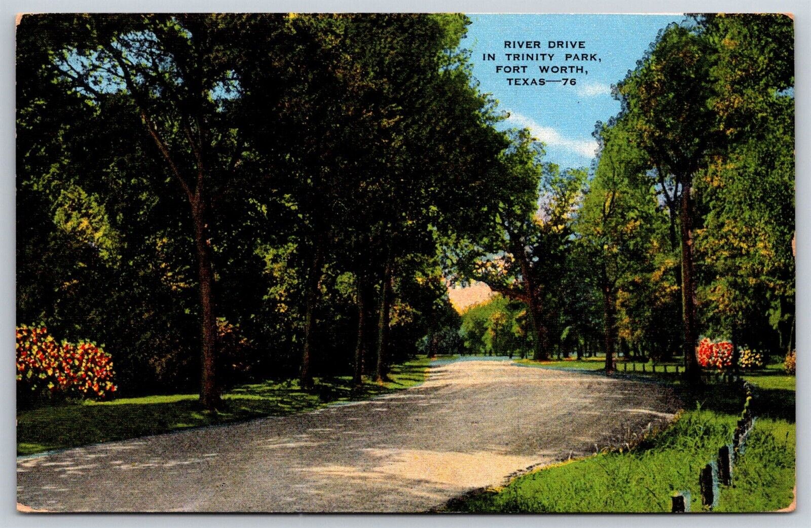 Postcard River Drive Trinity Park Fort Worth Texas Tx Chrome Vintage