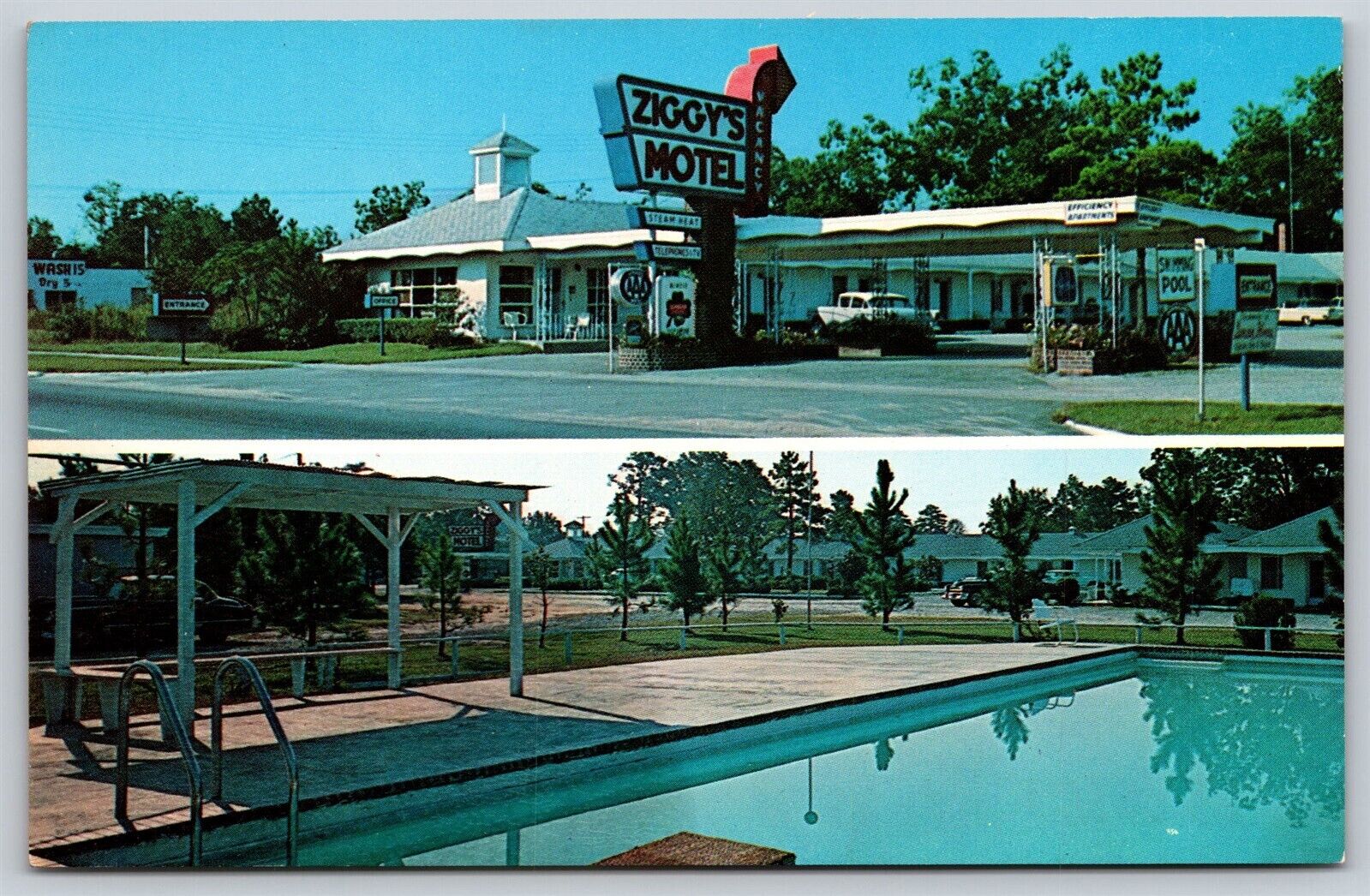 Postcard Ziggy\'s Motel, SC T149