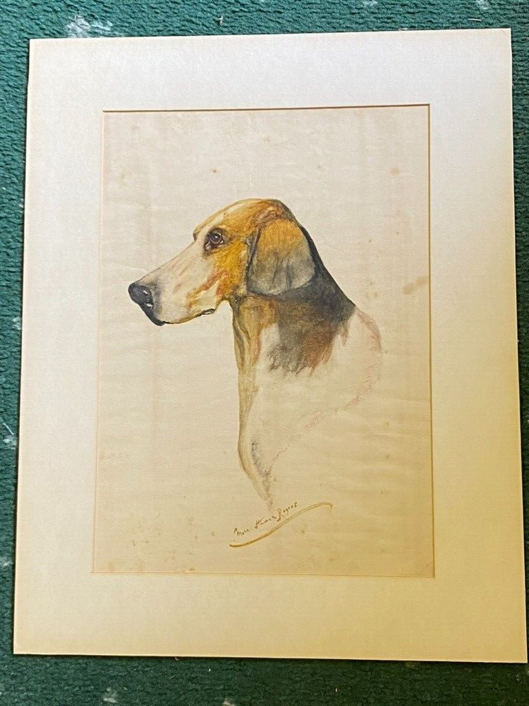 ANTIQUE RARE LARGE FOXHOUND DOG WATERCOLOUR SIGNED MONA ROGERS 1926 HUNTING