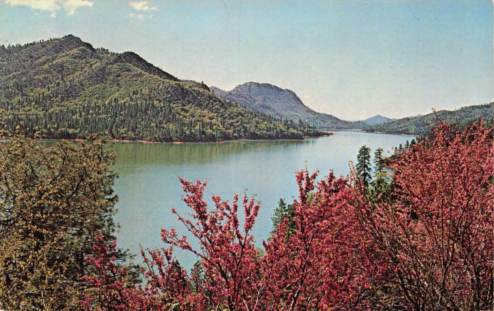 Postcard Shasta Lake, California Posted October 10, 1979 Vintage