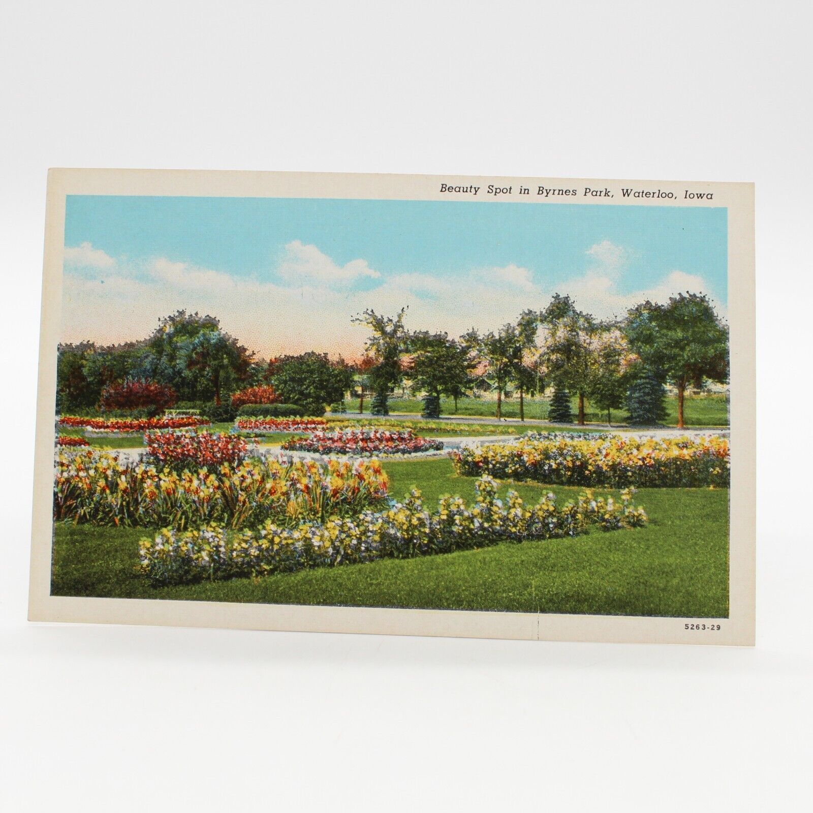 Linen Postcard Beauty Spot In Byrnes Park, Waterloo, Iowa Postcard (UnPosted)