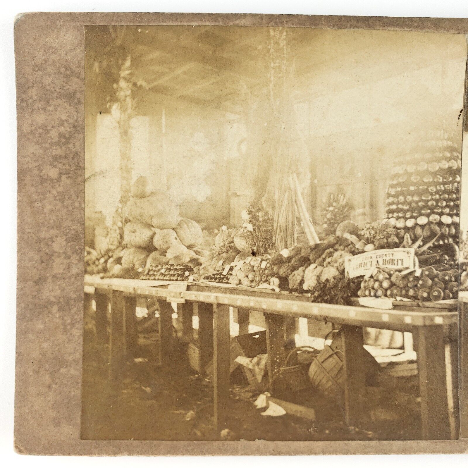 Cook County Produce Market Stereoview c1880 Vegetable Fruit Stand Photo H1652