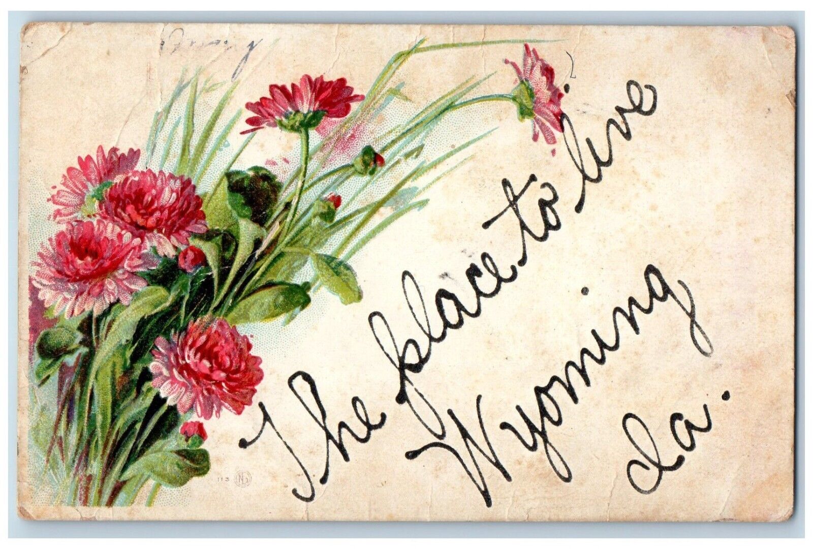 Monmouth Iowa IA Postcard Embossed Glitter Flower c1910 Vintage Antique Posted