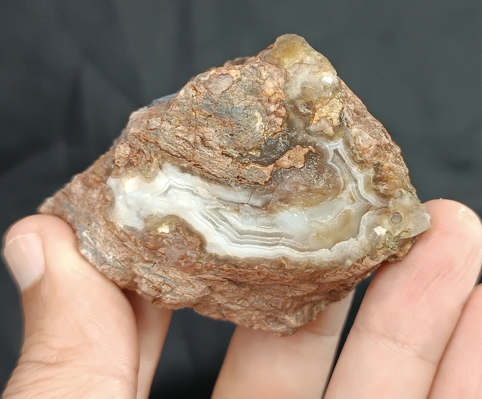 150g/0.33 lb uncut turkish banded agate stone rough,gemstone,rock,specimen
