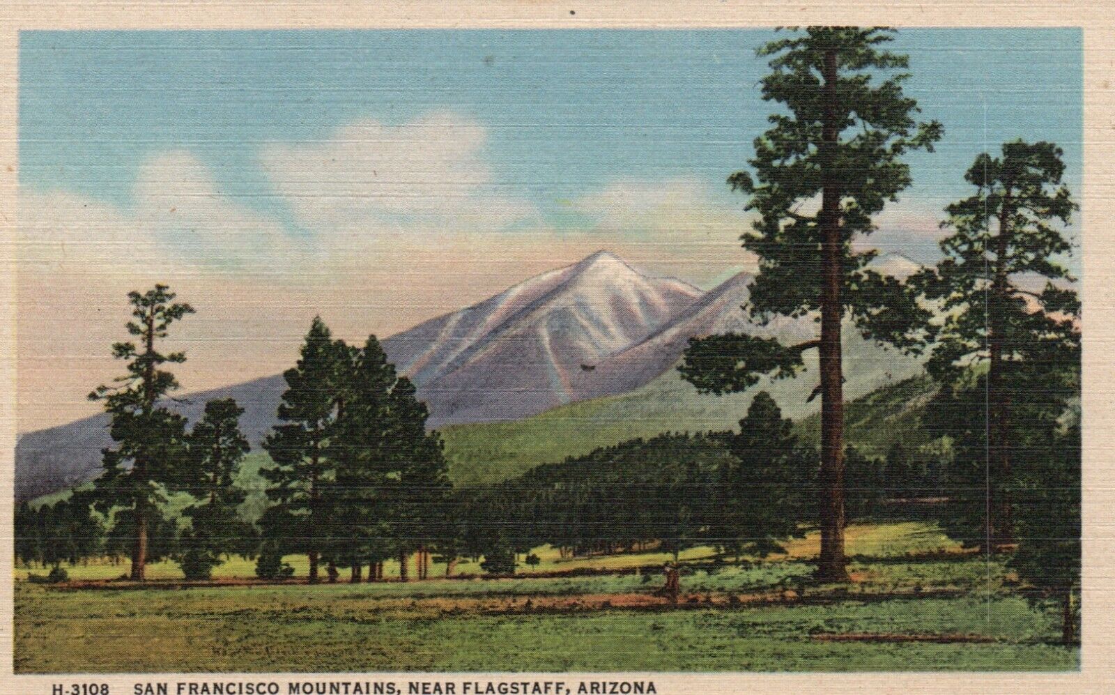 Postcard AZ near Flagstaff San Francisco Mountains Fred Harvey Vintage PC G7856