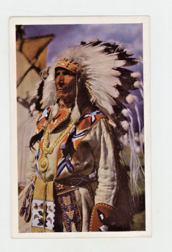Vintage Postcard Native American STONY INDIAN CHIEF CHROME 5.5 X 3.5