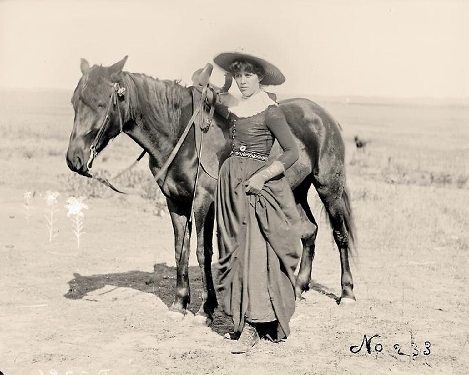 Old West Cowgirl  1880s  Vintage Old Photo 8 x 10  Reprint