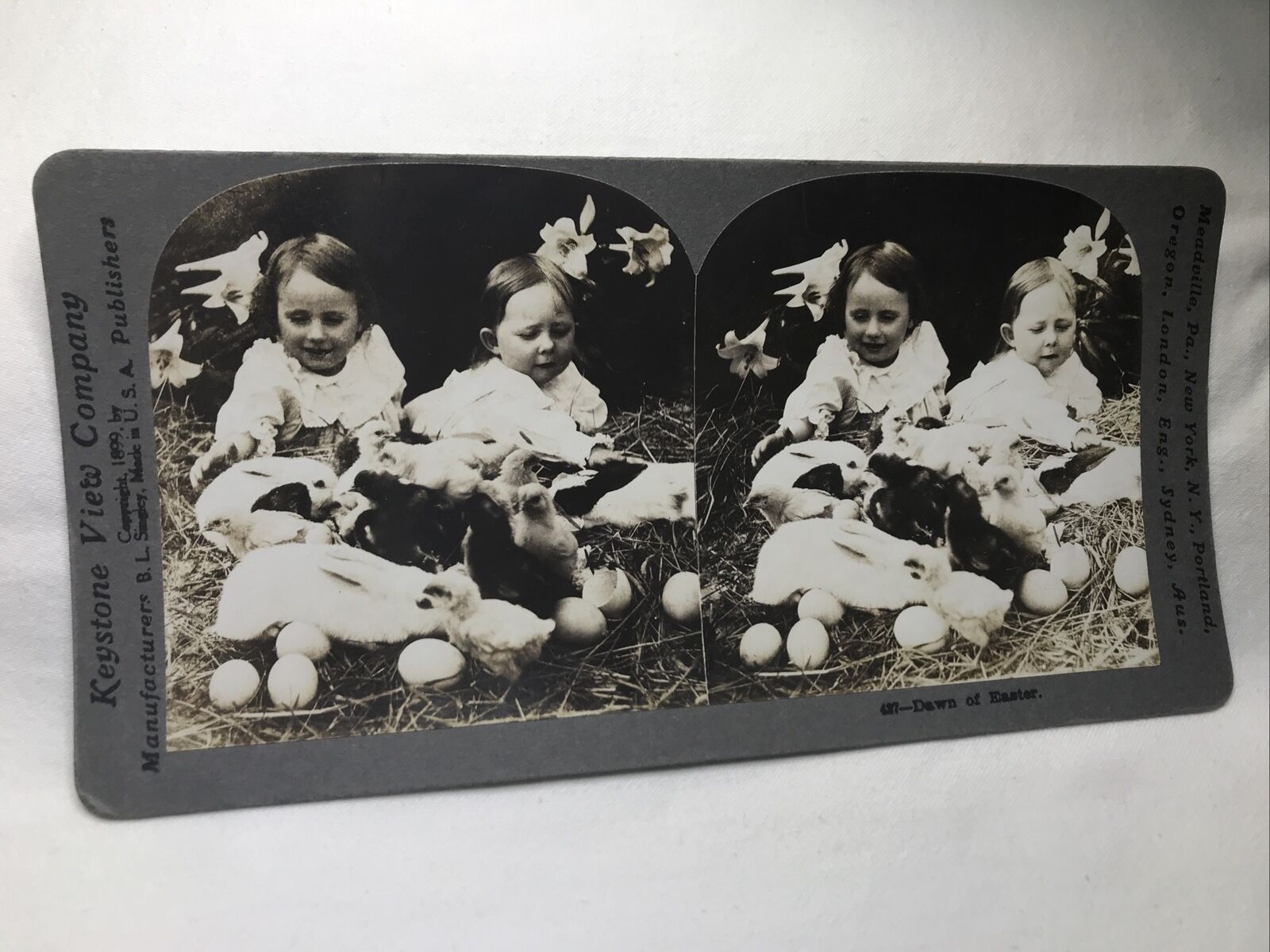 Antique Keystone View Stereoview Card “Dawn Of Easter” #427 ~ Bunny Chicks Kids