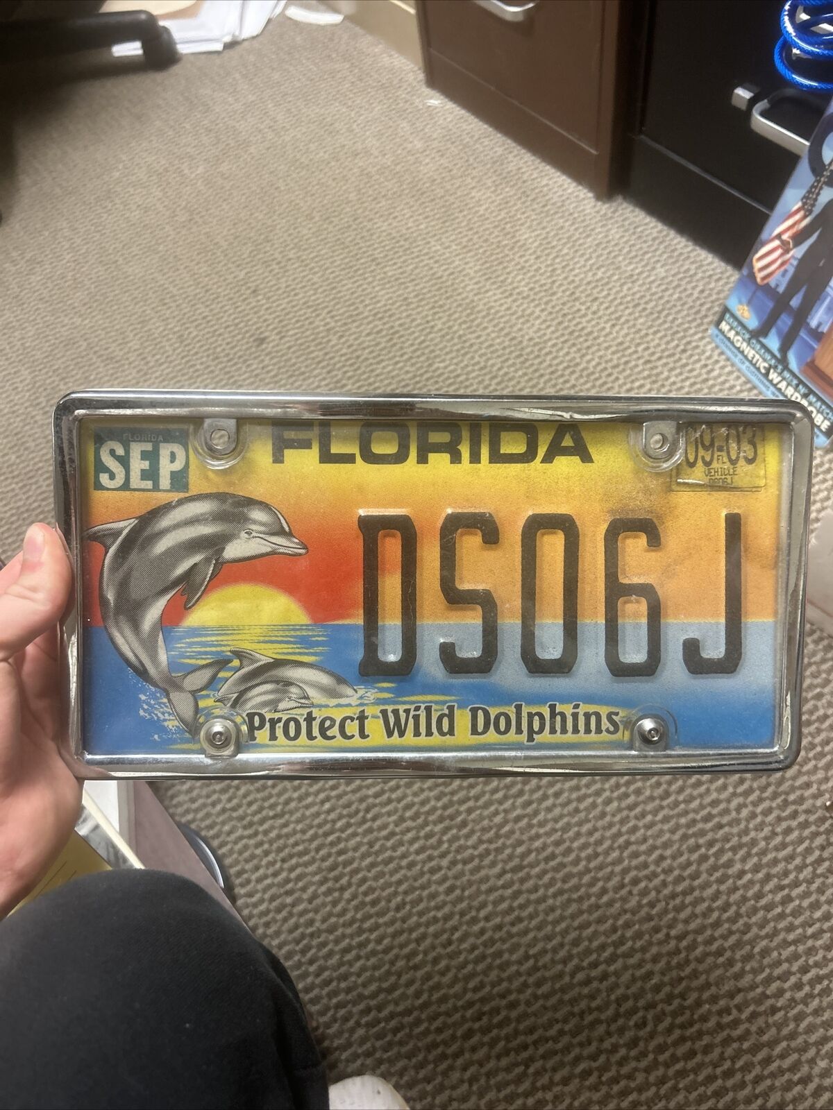 Vintage 2003 Florida Protect Wild Dolphins License Plate DS06J