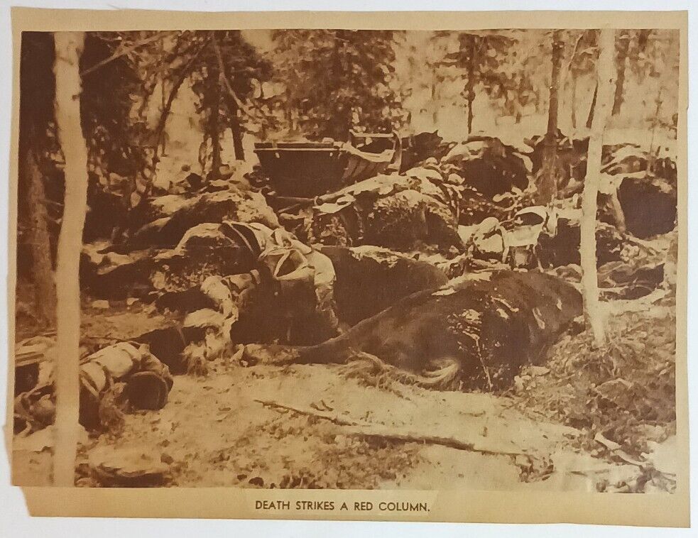 WWII Finns Strike Red Column Men And Horses Military Newspaper Clipping