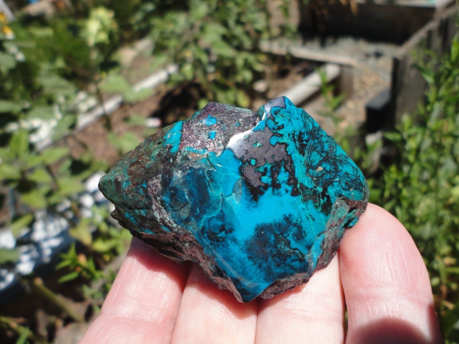 Chrysocolla Cuprite from Uruguay with Polished Window Cabinet Specimen 160gr.
