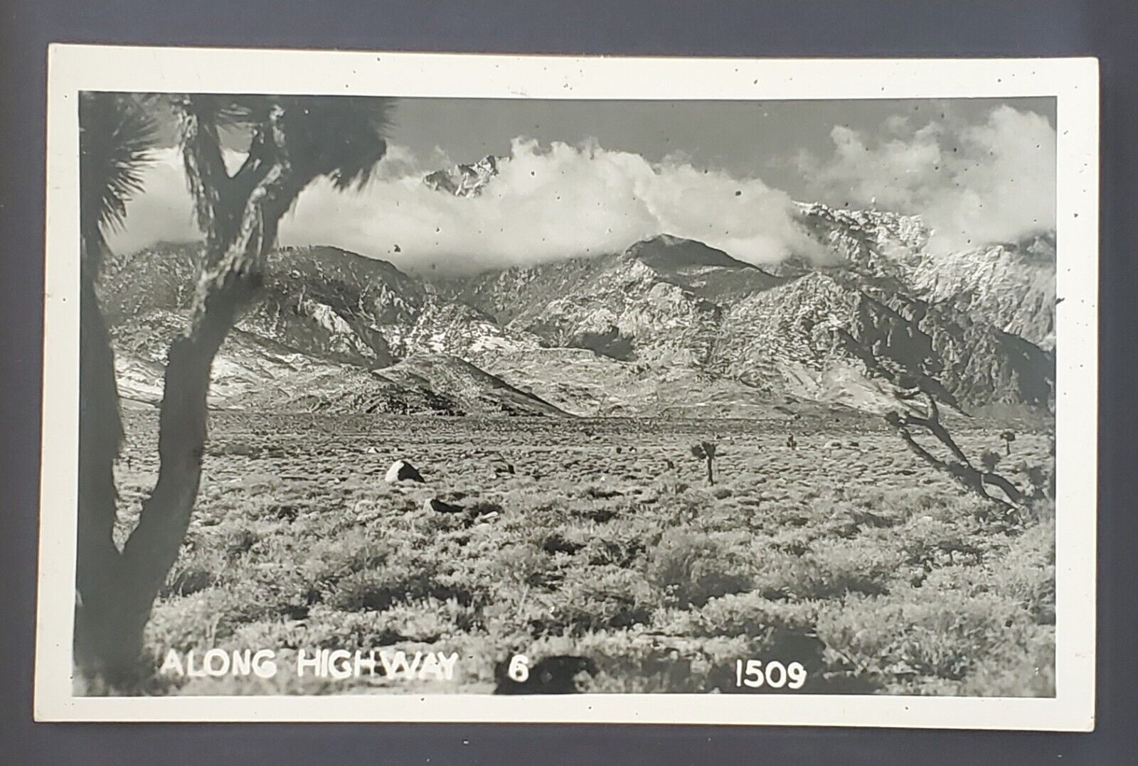 RPPC Along Highway 6 Big Pine, California Unposted but Inscribed on the back