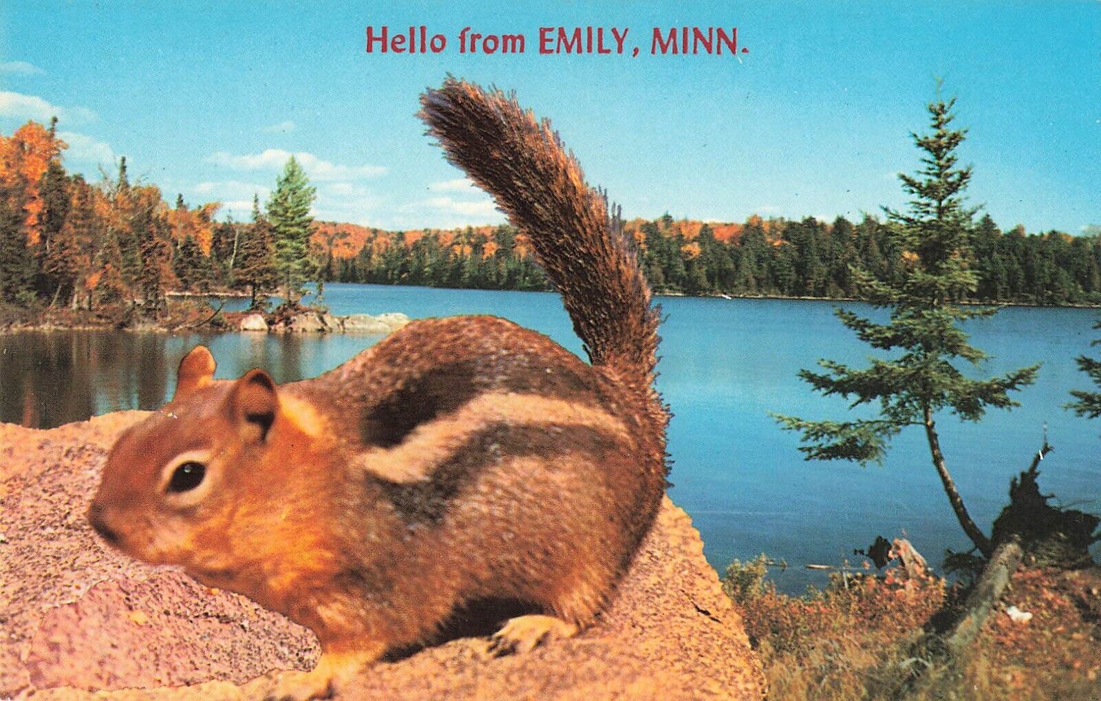 Postcard Hello from Emily, Minnesota, Chipmunk, Ground Squirrel