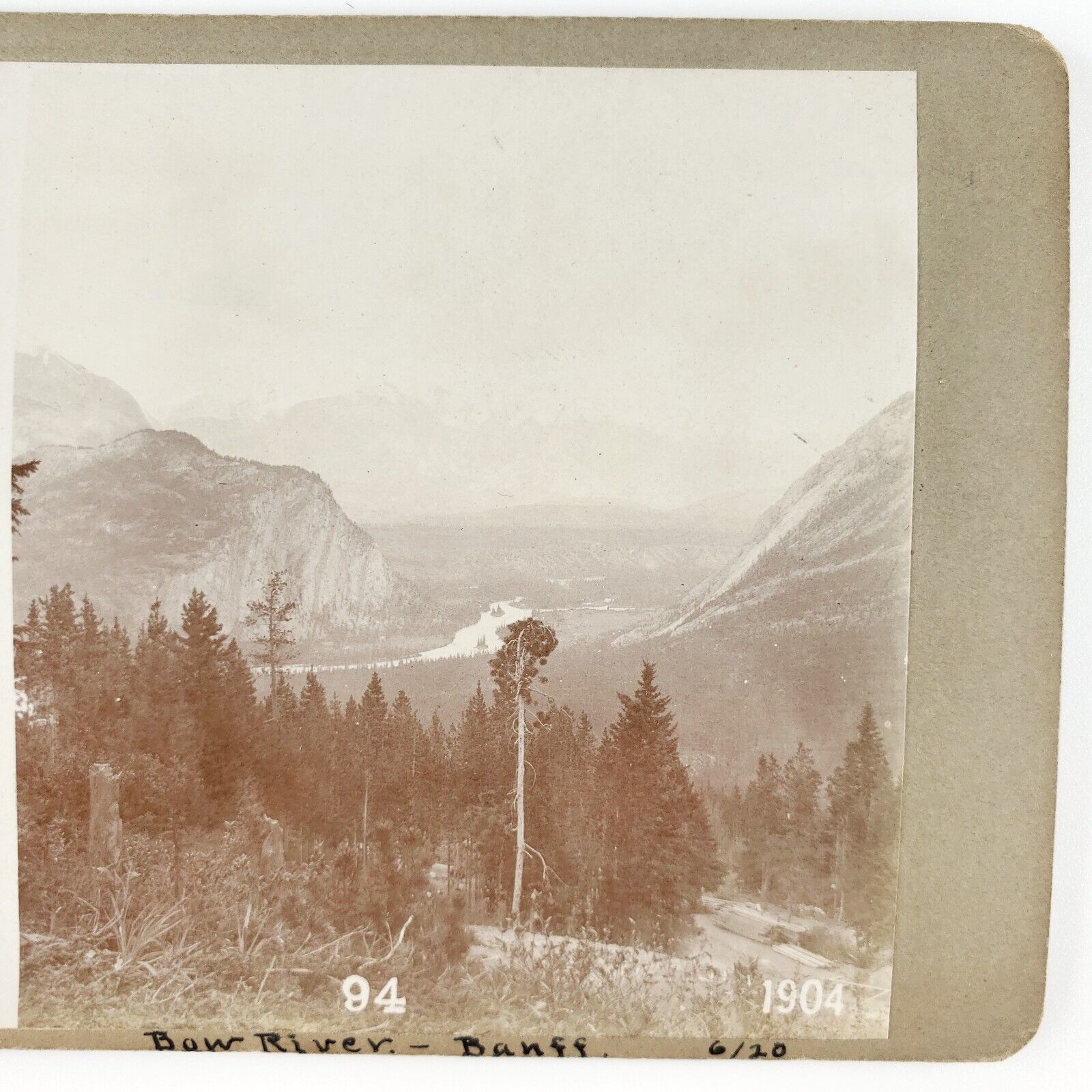 Bow River Banff Park Stereoview c1904 Canada National Park Forest Trees B1994