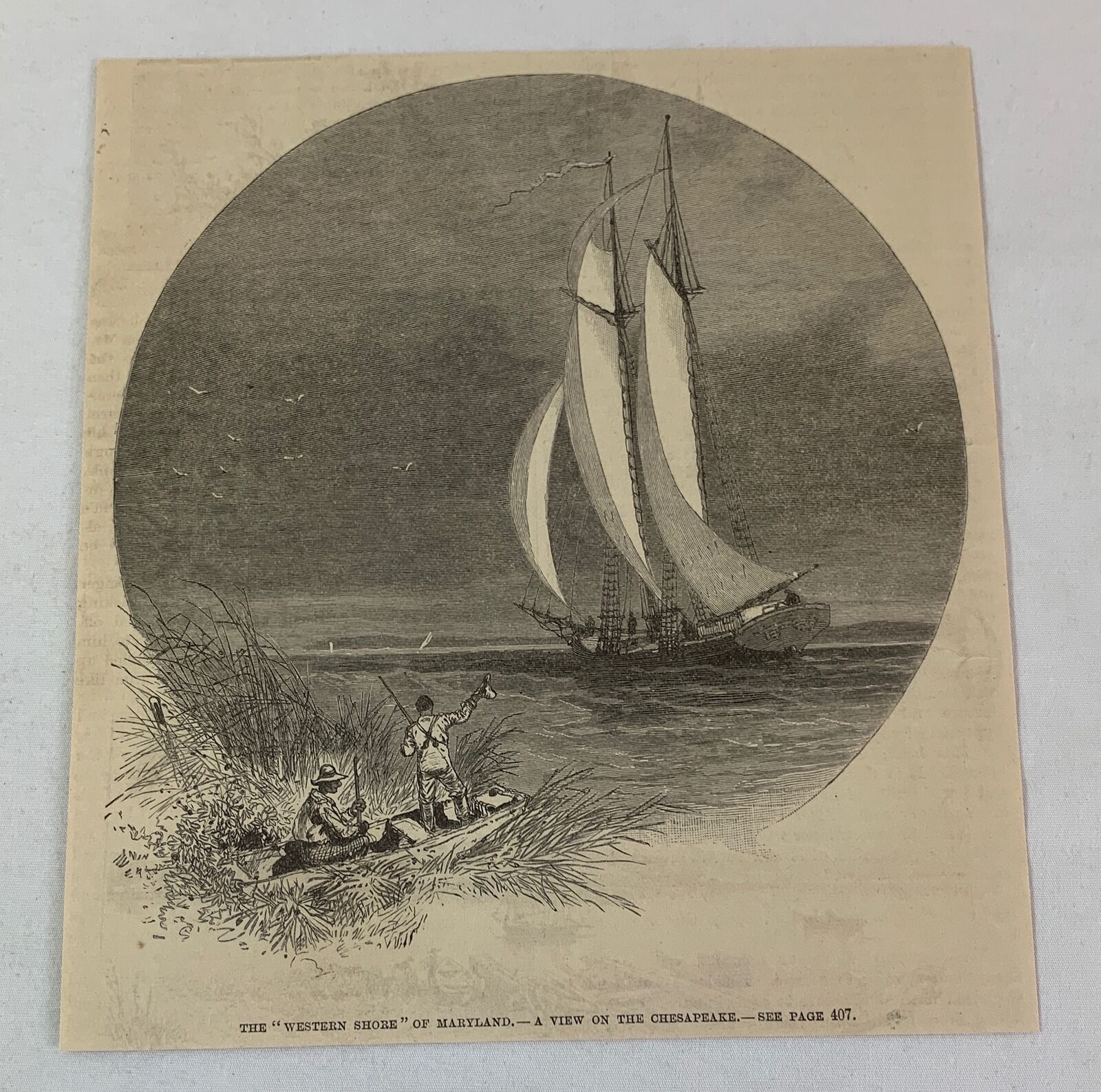1886 magazine engraving ~ Maryland Shore A VIEW ON THE CHESAPEAKE